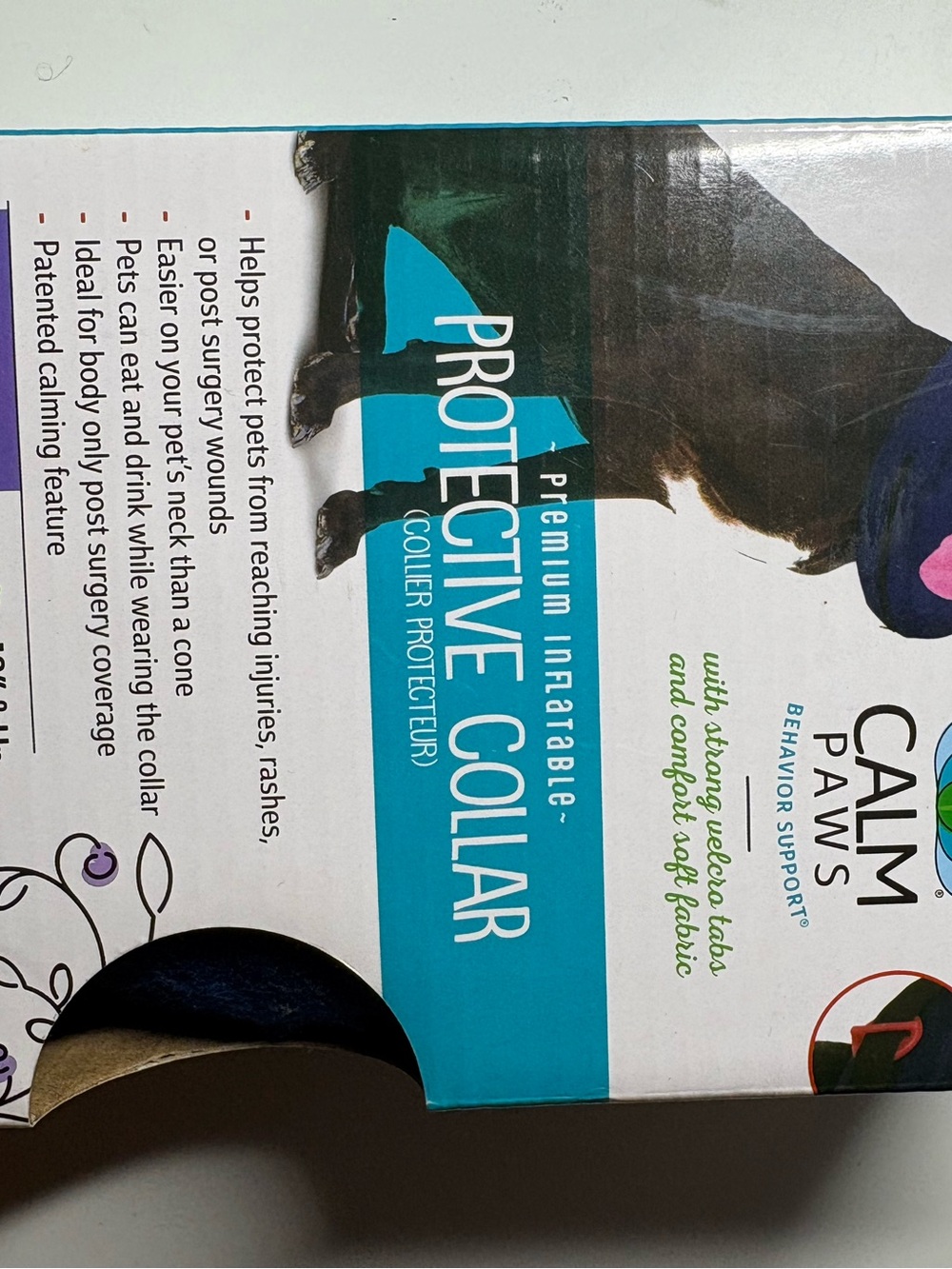 Protective Collar - Blue